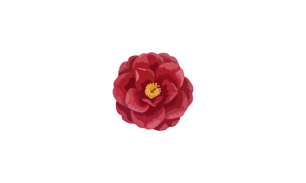 Bloome / Camélia